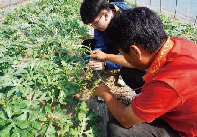 人民日報社青年編輯記者參加駐村實踐鍛煉。