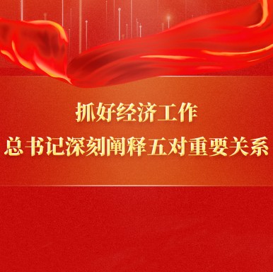 抓好經濟工作，總書記深刻闡釋五對重要關系