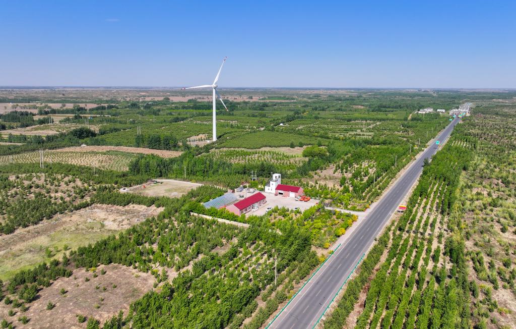 在內蒙古通遼市，科爾沁沙地正漸漸披上綠裝。新華社記者連振 攝